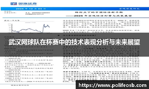 武汉网球队在杯赛中的技术表现分析与未来展望